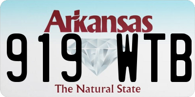 AR license plate 919WTB