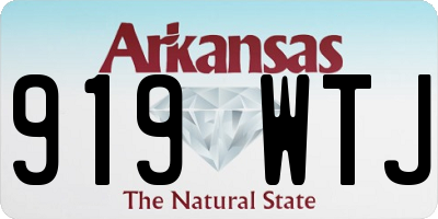AR license plate 919WTJ