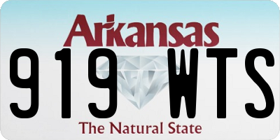 AR license plate 919WTS