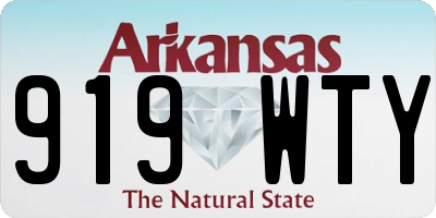 AR license plate 919WTY