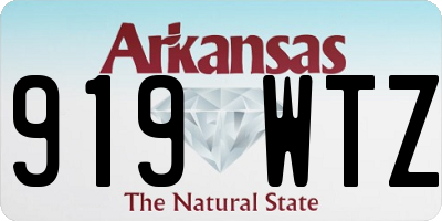 AR license plate 919WTZ