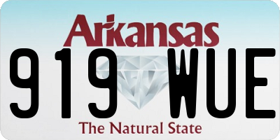 AR license plate 919WUE