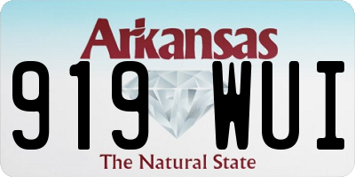 AR license plate 919WUI