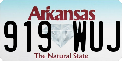 AR license plate 919WUJ