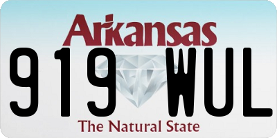 AR license plate 919WUL
