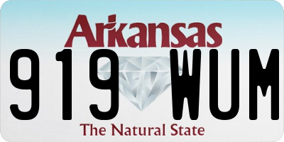 AR license plate 919WUM