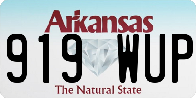 AR license plate 919WUP