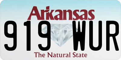 AR license plate 919WUR