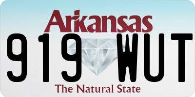 AR license plate 919WUT