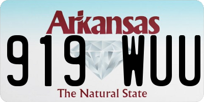 AR license plate 919WUU