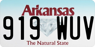 AR license plate 919WUV