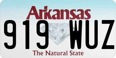 AR license plate 919WUZ