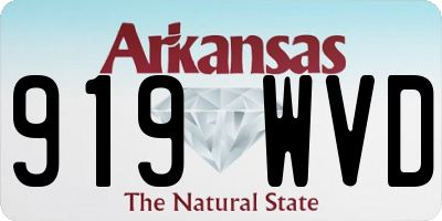 AR license plate 919WVD