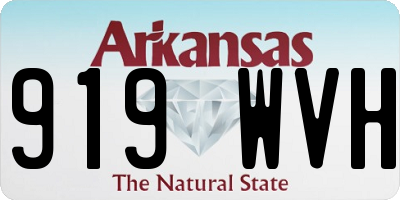 AR license plate 919WVH