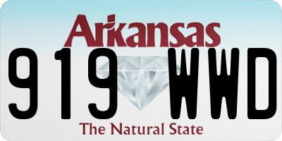 AR license plate 919WWD