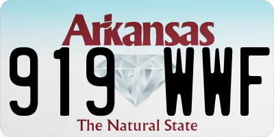 AR license plate 919WWF