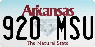 AR license plate 920MSU