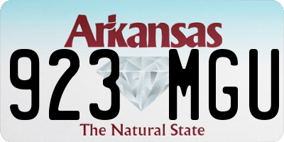 AR license plate 923MGU