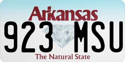 AR license plate 923MSU