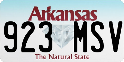 AR license plate 923MSV