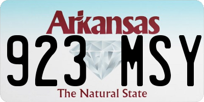 AR license plate 923MSY