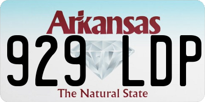 AR license plate 929LDP