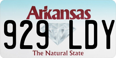AR license plate 929LDY