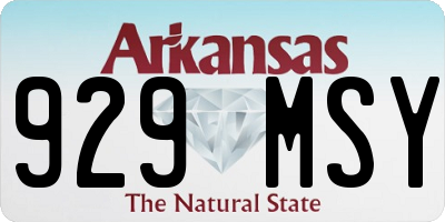 AR license plate 929MSY