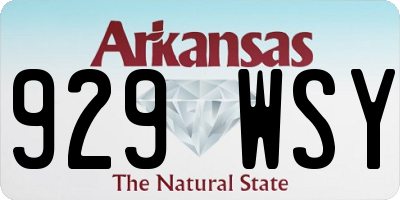 AR license plate 929WSY