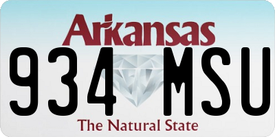 AR license plate 934MSU