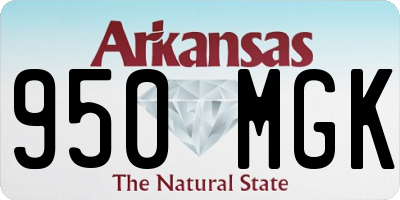 AR license plate 950MGK