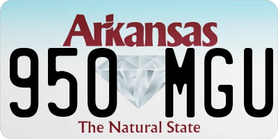AR license plate 950MGU