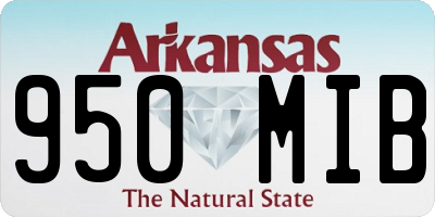 AR license plate 950MIB