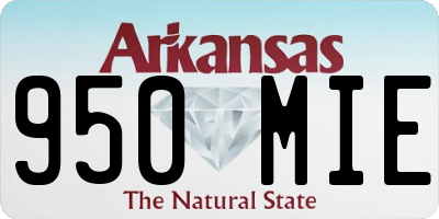 AR license plate 950MIE