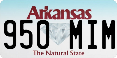 AR license plate 950MIM