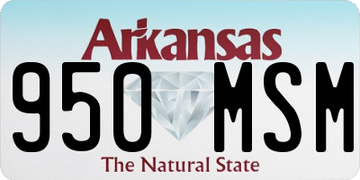 AR license plate 950MSM
