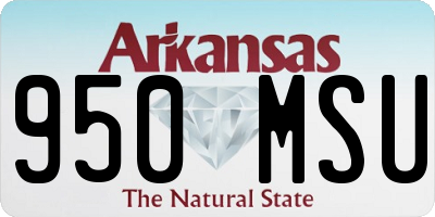 AR license plate 950MSU