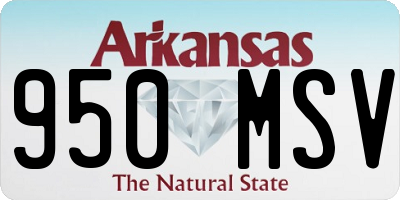 AR license plate 950MSV