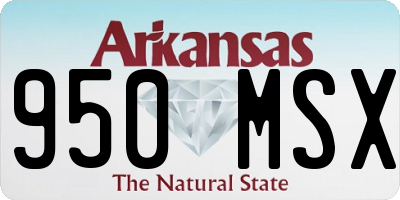 AR license plate 950MSX