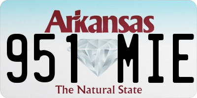 AR license plate 951MIE
