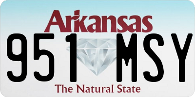 AR license plate 951MSY