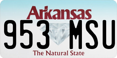 AR license plate 953MSU
