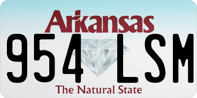 AR license plate 954LSM