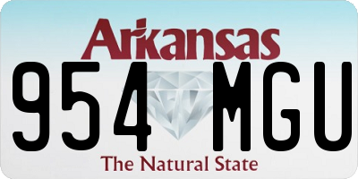 AR license plate 954MGU