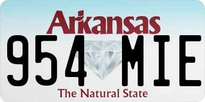 AR license plate 954MIE