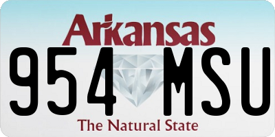 AR license plate 954MSU