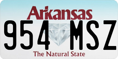 AR license plate 954MSZ