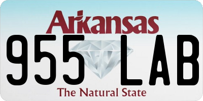AR license plate 955LAB