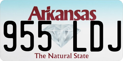 AR license plate 955LDJ