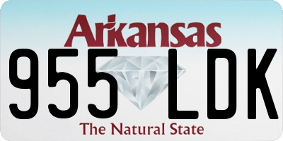 AR license plate 955LDK